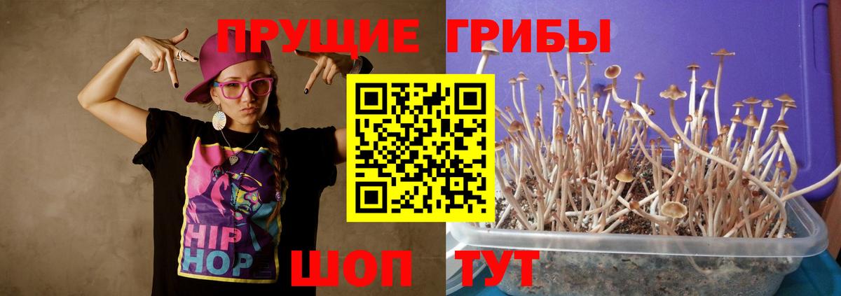 Галлюциногенные грибы мицелий  хочу наркоту  Вход с VPN  Вятские Поляны  Галлюциногенные грибы прущие грибы 