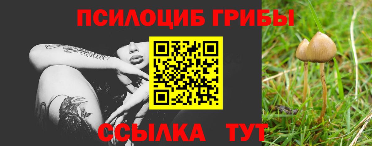 Псилоцибиновые грибы ЛСД Вятские Поляны