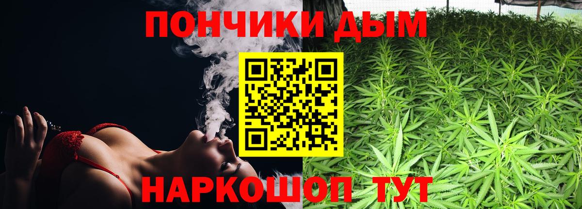 Шишки марихуана планчик Вятские Поляны